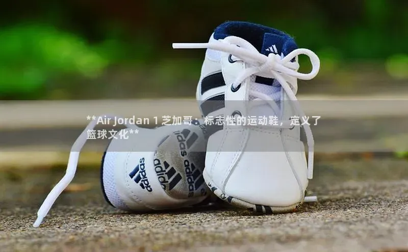 必一运动Bsport官方网站百度大脑**Air Jordan 1 芝加哥：标志性的运动鞋，定义了
篮球文化**