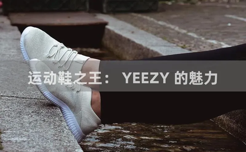 bsports必一体育网页版登录百度搜索资源平台运动鞋之王： YEEZY 的魅力